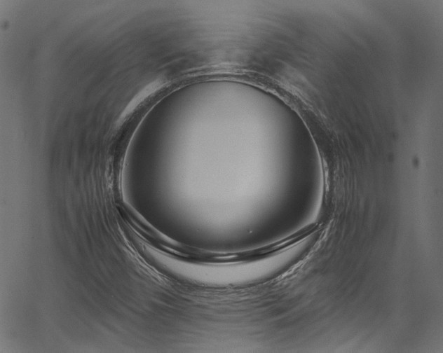X0000067381450200603311158