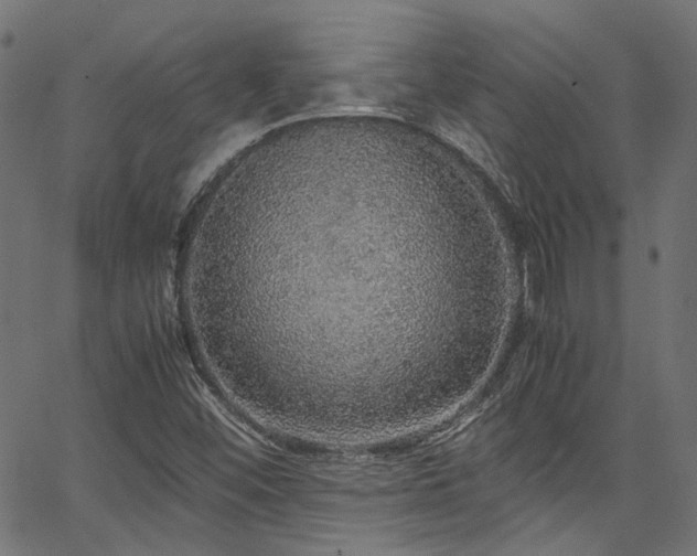 X0000067381452200603311158
