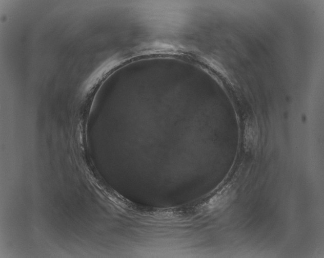 X0000067381455200603311158
