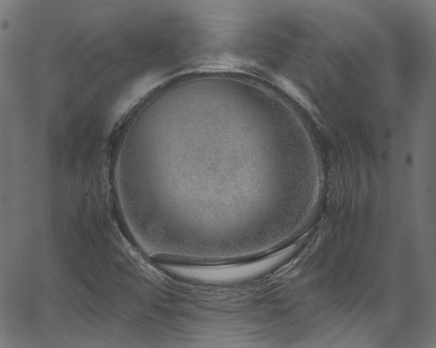 X0000067381456200603311158
