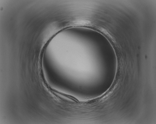 X0000067381469200603311158