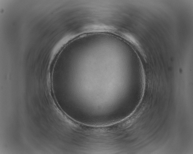 X0000067381472200603311158