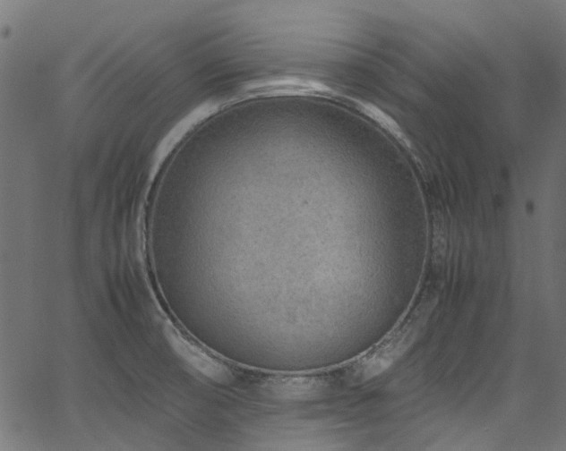 X0000067381474200603311158
