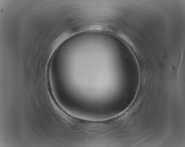 X0000067381475200603311158