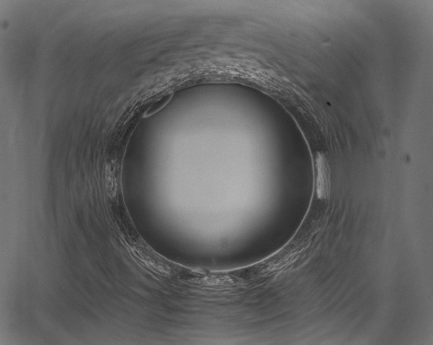X0000067381491200603311157