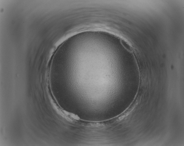 X0000067381526200603311158