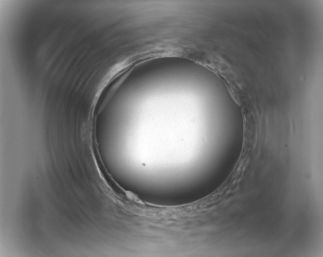 X0000067380003200604031111