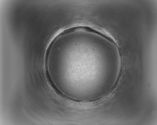X0000067380008200604031111