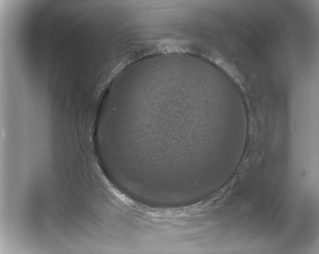 X0000067380009200604031111