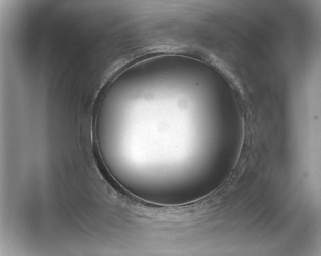 X0000067380011200604031111