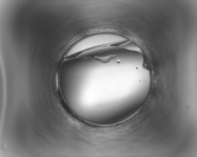 X0000067380013200604031111