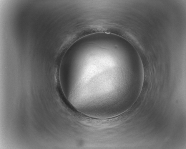 X0000067380023200604031111