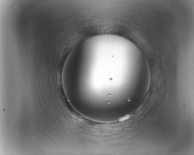 X0000067380025200604031111