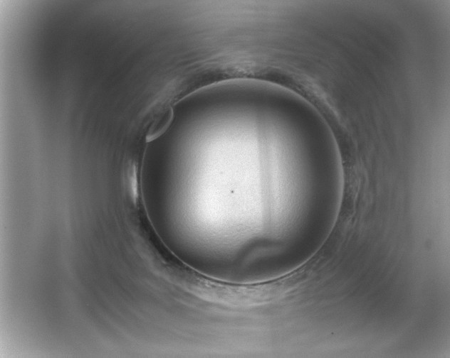 X0000067380027200604031111