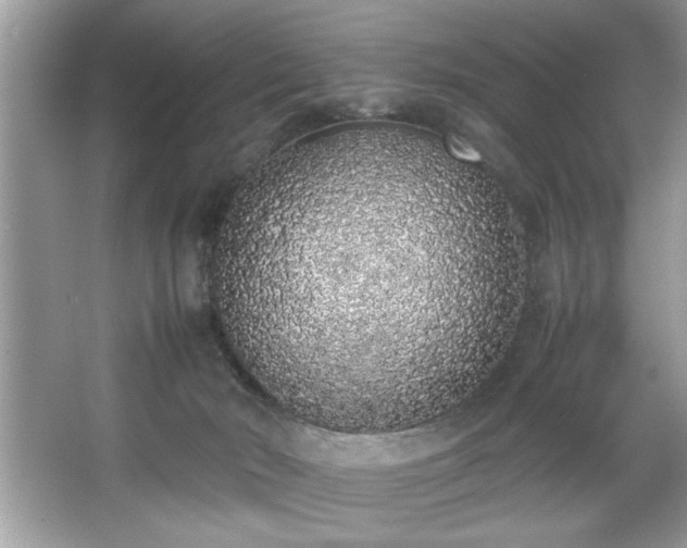 X0000067380030200604031111