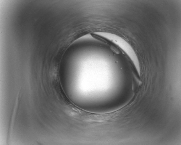X0000067380033200604031111