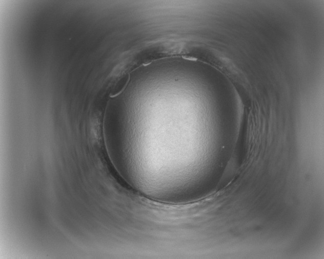 X0000067380035200604031111