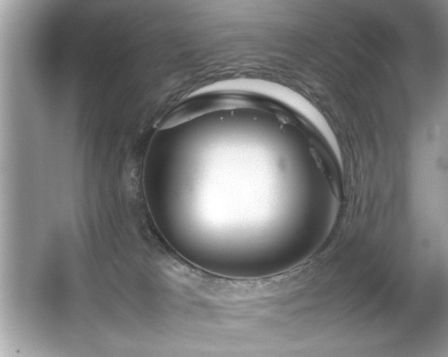 X0000067380037200604031111