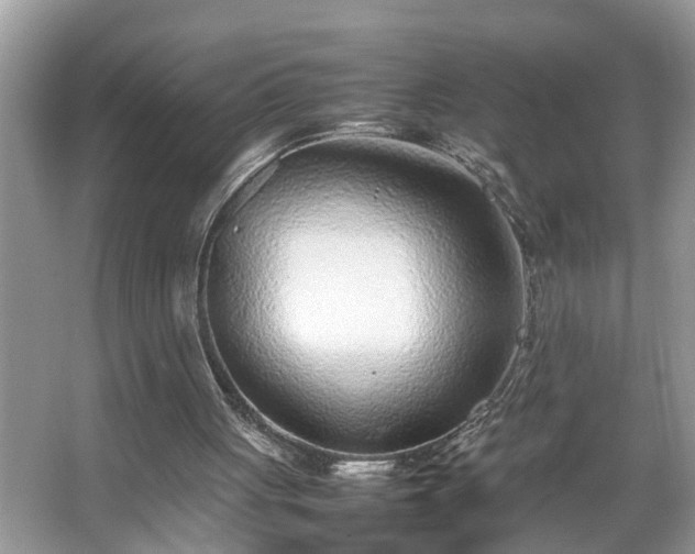 X0000067380051200604031110