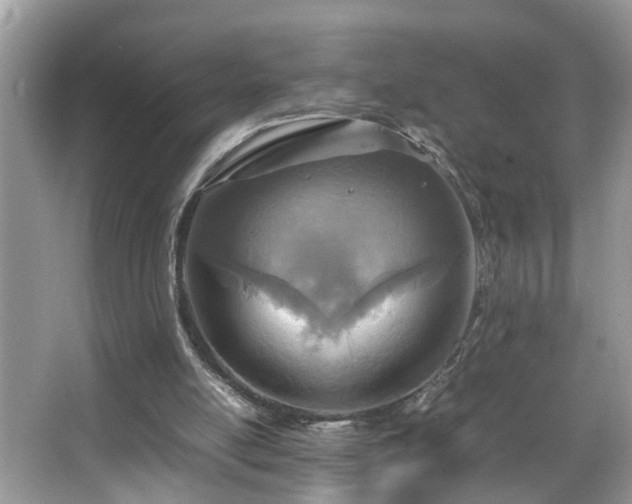 X0000067380054200604031110
