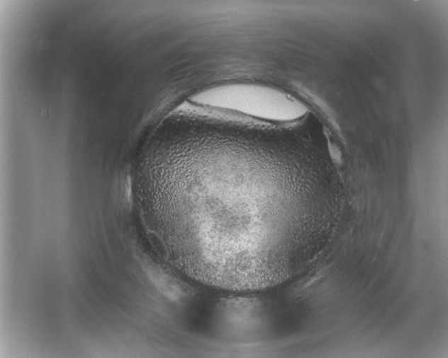 X0000067380067200604031110