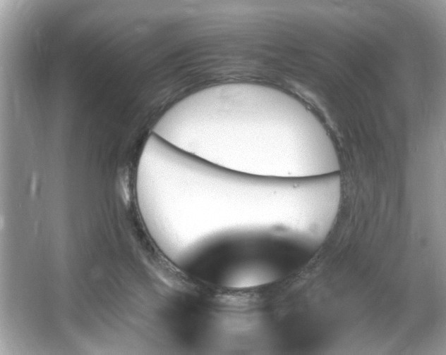 X0000067380069200604031110