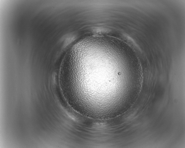 X0000067380071200604031110