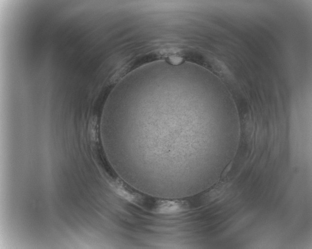 X0000067380083200604031110