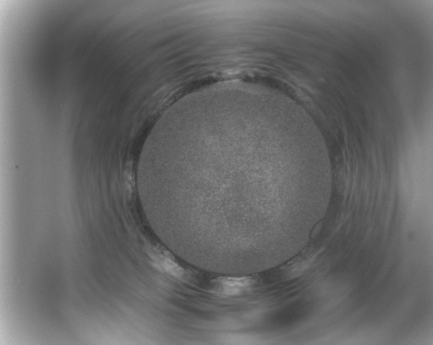 X0000067380085200604031110