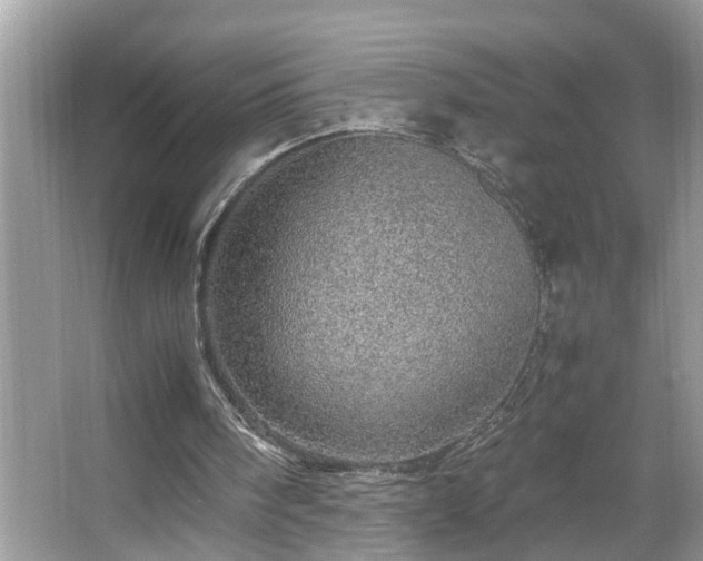 X0000067380098200604031110