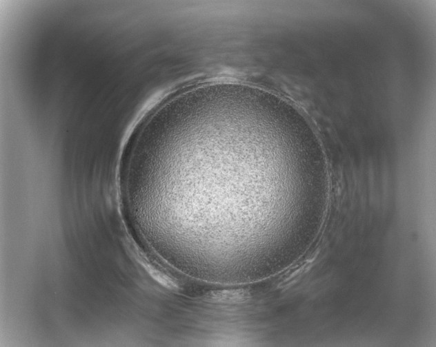 X0000067380102200604031110