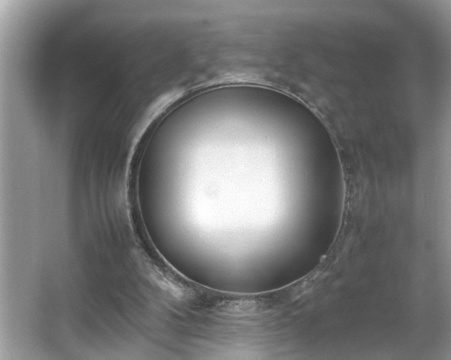 X0000067380104200604031110