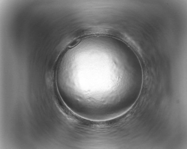 X0000067380107200604031110