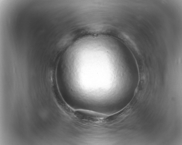 X0000067380115200604031109