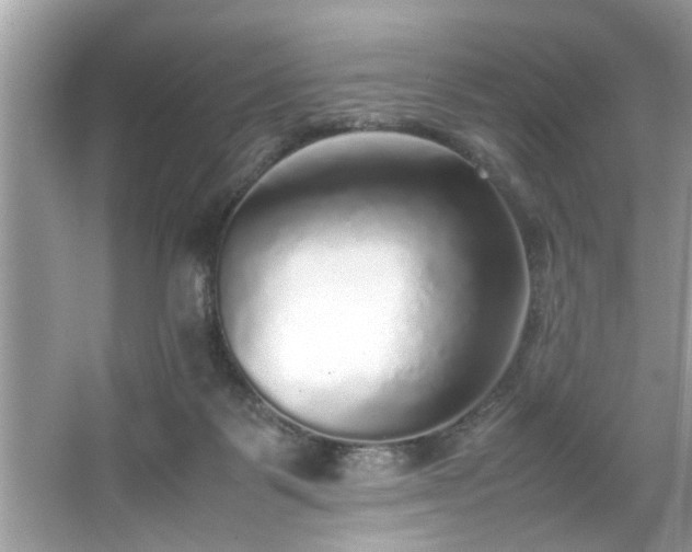 X0000067380123200604031109