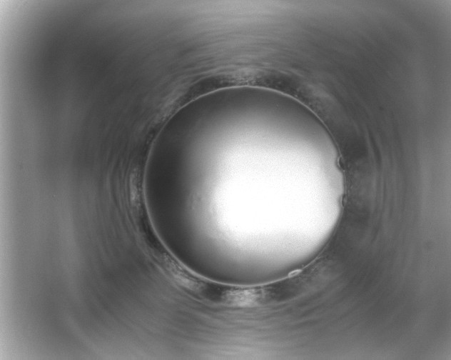 X0000067380131200604031109