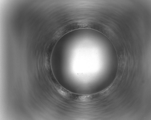 X0000067380136200604031109