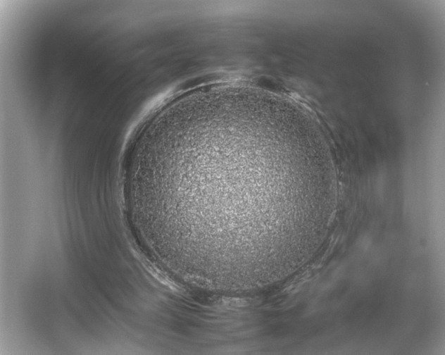 X0000067380149200604031108