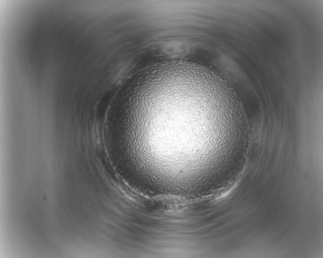 X0000067380182200604031109