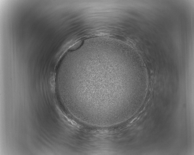 X0000067380194200604031108