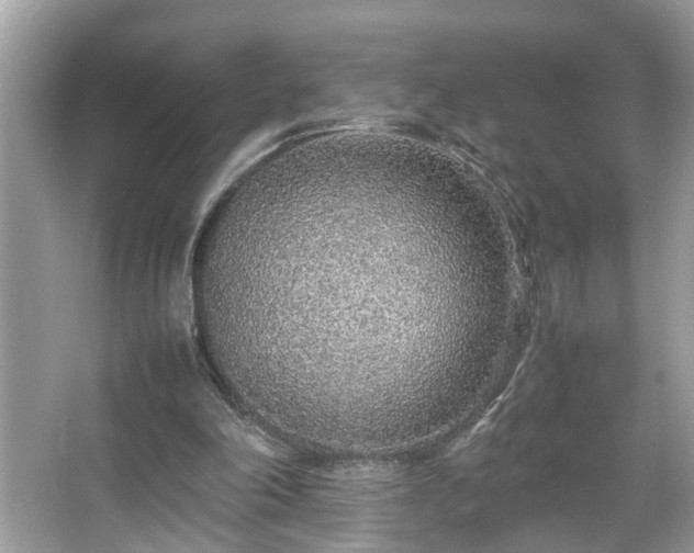 X0000067380198200604031108