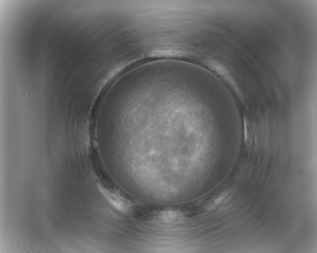 X0000067380204200604031108