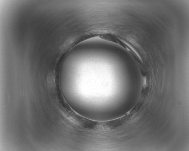 X0000067380207200604031108