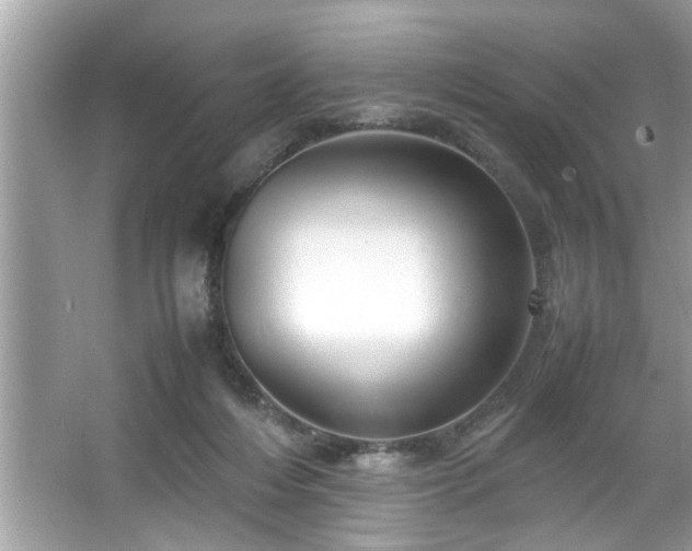 X0000067380216200604031108