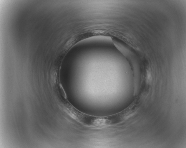 X0000067380227200604031108