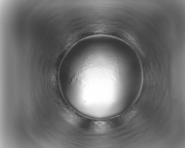X0000067380265200604031107