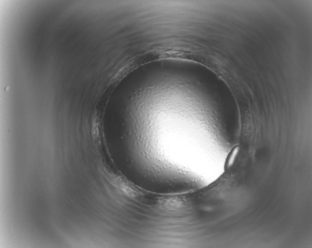 X0000067380282200604031107
