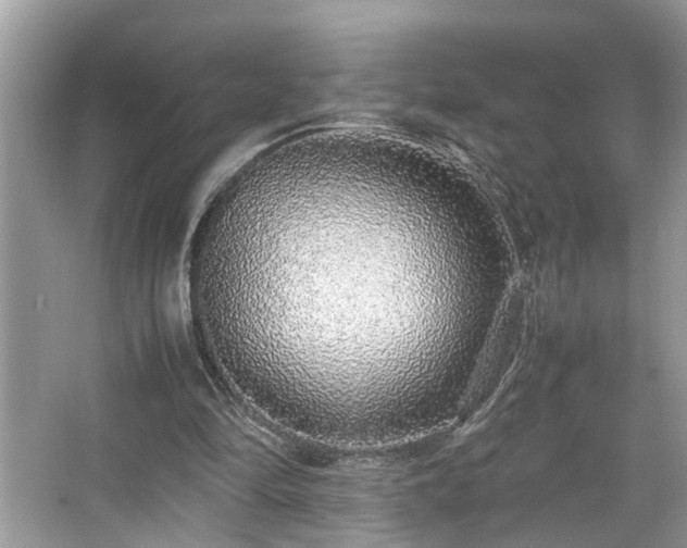 X0000067380294200604031106