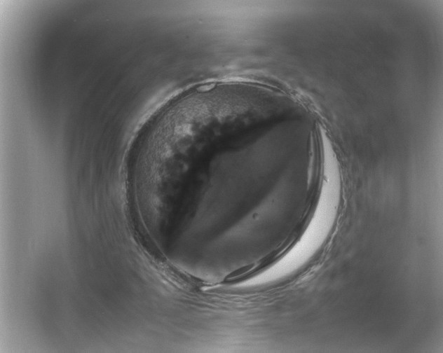 X0000067380295200604031106