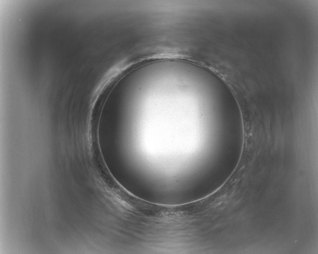 X0000067380296200604031106